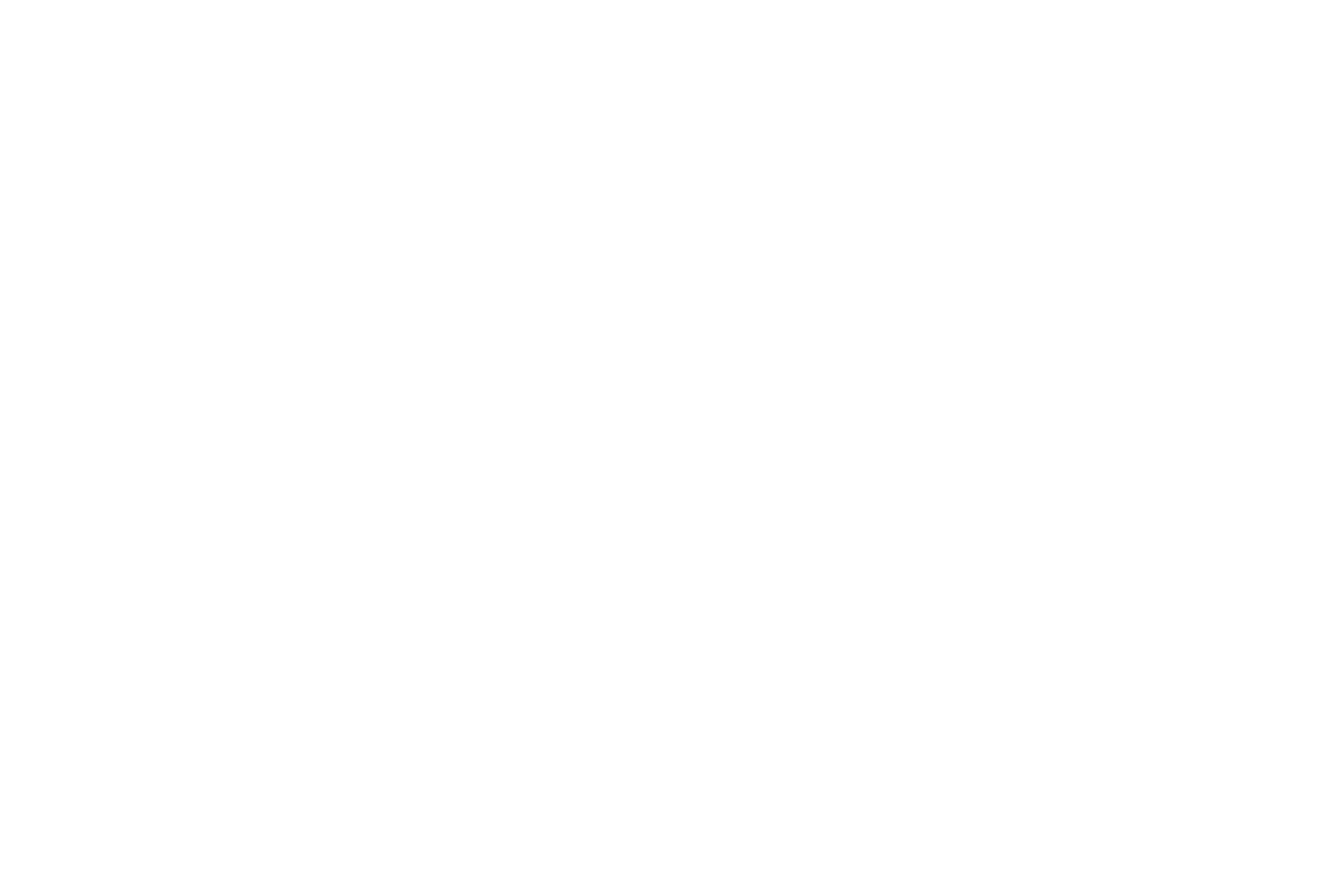 Loan Support Services LLC
